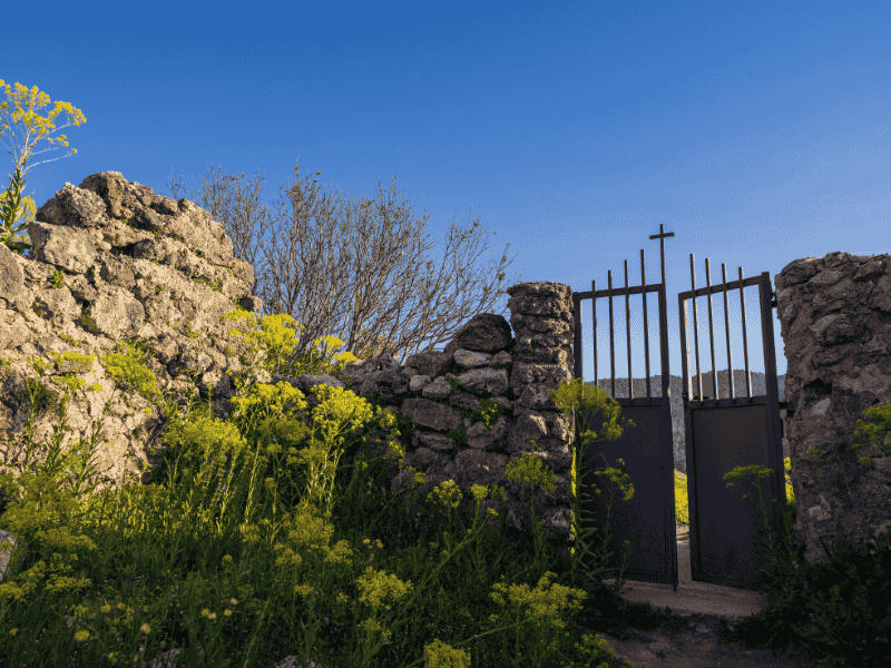 Georges-fils-funérailles-écologiques